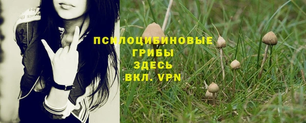 прущий лед Балахна
