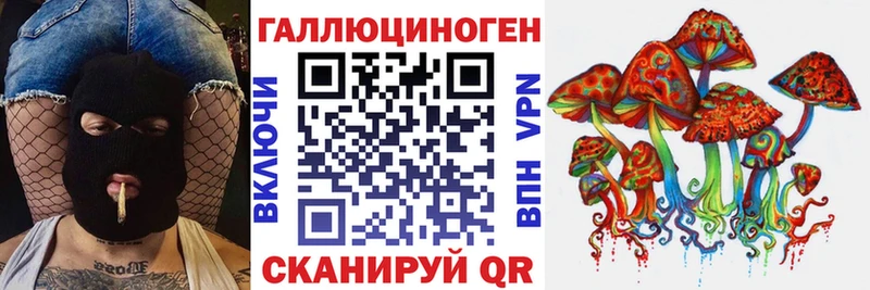 где купить наркотик  Ельня  Псилоцибиновые грибы MAGIC MUSHROOMS 